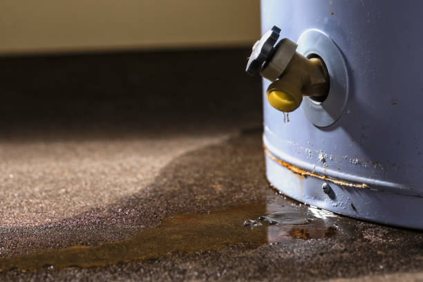 Best Emergency water damage restoration  in Sylvania, GA