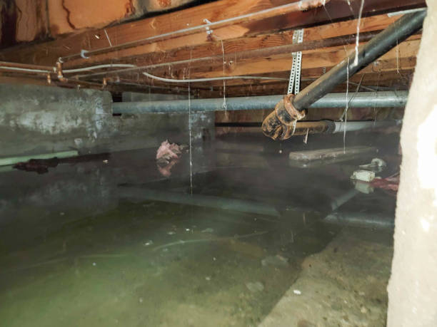Best Residential water damage restoration  in Sylvania, GA