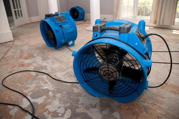 Best Basement water damage restoration  in Sylvania, GA