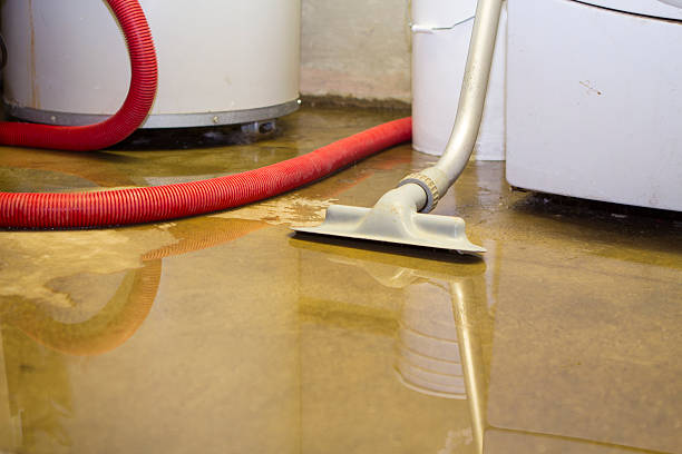 Best Water damage mitigation services  in Sylvania, GA