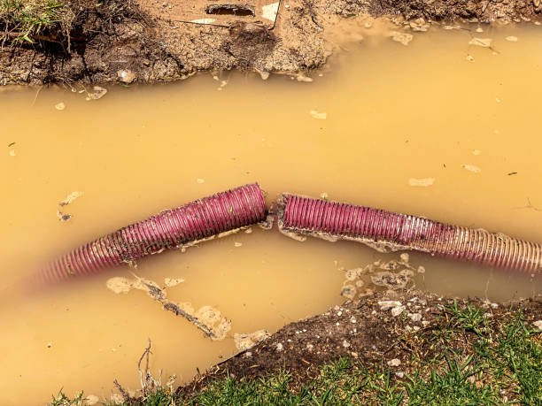 Best 24/7 water damage repair  in Sylvania, GA